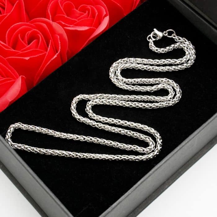 3.0银色钛钢蛇骨链 Catholic religious art